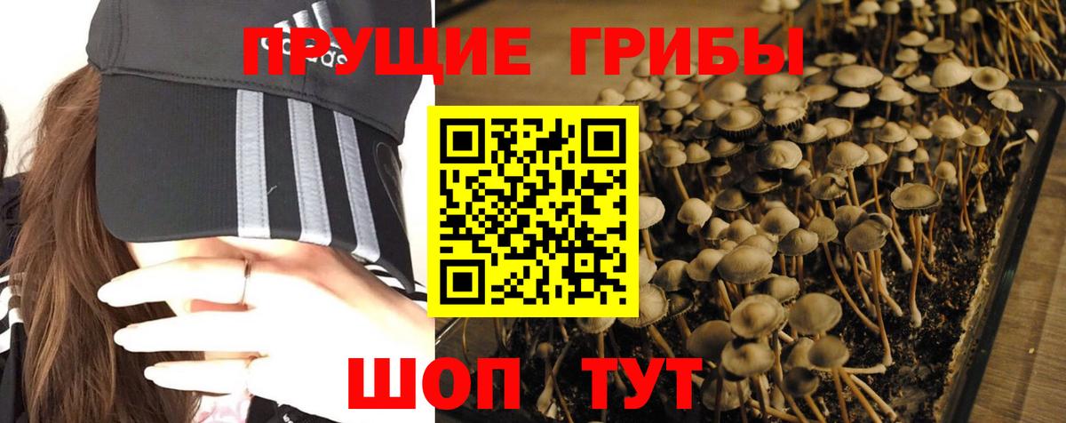 Псилоцибиновые грибы ЛСД  Вход с VPN  Елабуга 